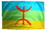 Vive Tamazight